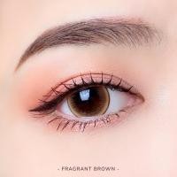 ราคา คอนแทคเลนส์ บิ๊กอาย Fragrant Brown Gray Kitty Kawaii ลายฮิต ขายดีมาก กรองแสงกันยูวี (21550264607)