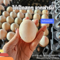ราคา ไข่เป็ดสด ไข่เป็ดออแกนิค ไข่เป็ด 1ชุด มี 10 ฟอง ขนาดเบอร์จัมโบ้ (21127631296)