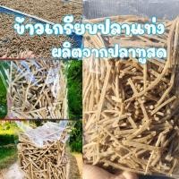 ราคา ขนาด 1000 กรัม ข้าวเกรียบปลาทูแท่ง ข้าวเกรียบปลาแท่ง ฮาลาล แคปปลาทู ข้าวเกรียบปลาดิบ ข้าวเกรียบปลาแท่ง organic (18606578846)