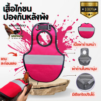 ราคา เสื้อไก่ชน กันหนาว อุปกรณ์ซ้อมไก่ชนไก่ป่าก๋อยกัดหลังไก่ชนพม่า อุปกรณ์ไก่ชน พม่าก็กลัวถอนขนหลัง สำหรับไก่ชน (18859637670)