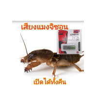 ราคา เสียงแมงกระชอน แมงจิซอน USB (22717694011)