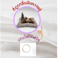 ราคา ตุ๊กตาดูดกลิ่น ตุ๊กตาดับกลิ่นน้องหมีน้องกวาง ดูดกลิ่นอับในรถในบ้าน ดูดกลิ่นไม่พึงประสงค์ แถมไฟฟรี1 เส้น (16828888500)