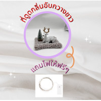 ราคา ตุ๊กตาดูดกลิ่น ตุ๊กตาดับกลิ่นน้องหมีน้องกวาง ดูดกลิ่นอับในรถในบ้าน ดูดกลิ่นไม่พึงประสงค์ แถมไฟฟรี1 เส้น (16828888501)