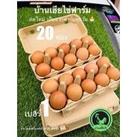 ราคา ไข่ไก่อารมณดี เบอร์1 20ฟอง สดใหม่วันต่อวัน (22513874914)