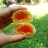 ราคา ขนมเปี๊ยะโฮมเมดคุณตุ๊กตา ไข่เค็มครี่งฟอง แป้งบางนุ่มหอมควันเทียนหวานน้อยไส้เยอะ กล่องเล็ก 9 ชิ้น (7987370521)