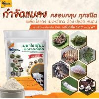 ราคา กัปตัน เมธา บิวเชื้อราบิวเวอร์เรีย เชื้อราเมธาไรเซียม แบบผง 100กรัม เพาะเชื้อจากห้อง LAB พร้อมใช้ ปลอดภัย 100 (22801690221)