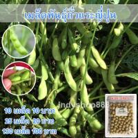 ราคา เมล็ดพันธุ์ ถั่วแระญี่ปุ่น หอมกลิ่นใบเตย เมล็ดพันธุ์ถั่วเเระญี่ปุ่น 130 เมล็ด 10 แถม 1 คละได้ (10600841365)