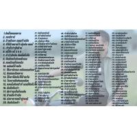 ราคา มนต์แคน แก่นคูณ เพลงดังหาฟังยาก (16238296460)