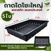 ราคา ถาดไดโซะใหญ่ 5 ใบ ถาดเพาะต้นกล้า ถาดเพาะต้นอ่อน ถาดไดโซะ ถาดวางกระถาง กระถางแคคตัส (18886320993)