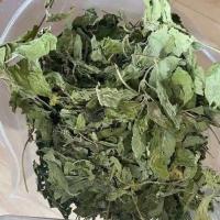 ราคา ชาสเปียร์มินต์ 100 Spearmint Tea ชาสมุนไพร สเปียร์มินต์ ชามิ้นท์ 50 กรัม (22658943519)