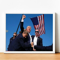 ราคา Time Magazine Cover Donald Trump Assault Photo Poster Print Home Decor Painting On Canvas Posters For Wall Decororation Art Home (22478798656)