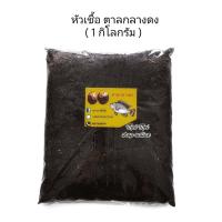 ราคา หัวเชื้อตกปลา 1 กิโลกรัม หัวเชื้อลูกตาล หัวเชื้อตาลกลางดง หัวเชื้อตาล เหยื่อลูกตาล เหยื่อตกปลา เหยื่อตกปลานิล (20299927204)