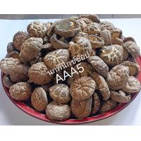 ราคา โปร 1 แถม 1 เห็ดหอมดอกลายจีนAAA5 เห็ดหอมแห้งAA5 เนื้อหนากลาง ใหญ่กลาง (18936303275)