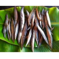 ราคา NEW ปลาหลดแห้ง ปลาหลดแดดเดียว (12308337425)