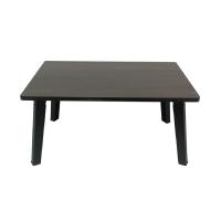 ราคา โต๊ะญี่ปุ่น ขนาด 40x60 ซม ขาพลาสติก AB (23268573955)