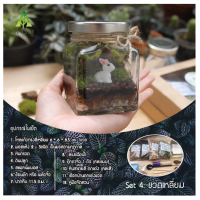 ราคา ชุดจัดสวนขวด วัสดุอุปกรณ์จัดสวนขวด ครบเซ็ตพร้อมส่ง Terrarium Set ชุดจัดสวนขวดแก้ว (12837992034)