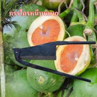 ราคา ผ่าหมาก กรรไกรผ่าหมากสดหมากแห้งหนีบหมาก (22669407807)