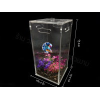 ราคา โหลปลากัดอะครีลิคพร้อมฝา ขนาด 4x4x8 นิ้ว หนา 4 มิล แข็งแรง ทนทาน เฉพาะโหล ฝา By ร้านวสันต์ อุปกรณ์ปลาสวยงาม (9204734878)