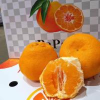 ราคา ส้มรวมหลายสายพันธุ์ ส้มจุกส้มเอฮิเมะเนื้อเยลลี่ส้มไต้หวันส้มออสเตเรีย 1 กิโลกรัม (22980410535)