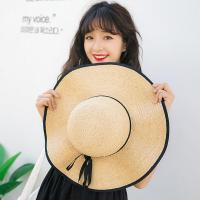 ราคา หมวกสานปีกกว้าง ขอบสีดำ หมวกกันแดด หมวกพกพา หมวกพับเก็บได้ หมวกแฟชั่นหญิง หมวกเที่ยวทะเล หมวกปานามาหมวกบักเก็ต หมวกจักสาน (6773564081)