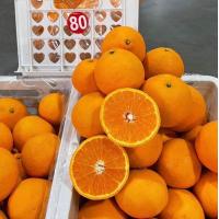 ราคา ส้มรวมหลายสายพันธุ์ ส้มจุกส้มเอฮิเมะเนื้อเยลลี่ส้มไต้หวันส้มออสเตเรีย 1 กิโลกรัม (22980410534)