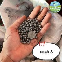 ราคา ลูกตะกั่ว ขายเป็นกิโล เบอร์ 1 8 ตะกั่วนก ตะกั่วหนู ตะกั่วเม็ด ตะกั่ว (18838930623)