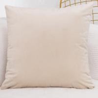 ราคา ปลอกหมอนอิงปลอกหมอน 30x50 45x45 50x50 60x60 กำมะหยี่ธรรมดานอร์ดิกโซฟาปลอกหมอนอิงปลอกหมอน ไม่มีหมอน (21626701489)