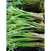 ราคา สด ใหม่ ทุกวัน ผักก้านจองเก็บสดๆใหม่ๆทุกวันพร้อมส่ง ราคาถูก ที่สุด ราคาส่ง (21250368272)