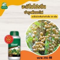 ราคา มะไฟ โตไว ใบเขียว ผลดก ผลใหญ่ แข็งแรง ผลผลิตดี อะมิโนโปรตีนจำเป็นสำหรับพืช 18 ชนิด อะมิโนแรปเตอร์ โดย ไดโนเร็กซ์ (18522937133)