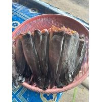 ราคา ปลาดุกร้าแห้ง ขนาด 500 กรัม เจ๊หน่อย ของอร่อยภาคใต้ (23115800249)