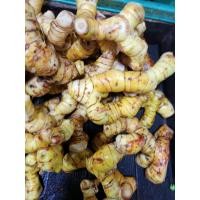 ราคา สดใหม่จากฟาร์ม ข่าแก่สดใหม่ๆเก็บใหม่จากสวน1 กิโลกรัม ราคา ถูก ส่ง (21030978275)