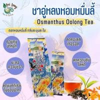 ราคา ชาอู่หลงหอมหมื่นลี้ อู่หลงหมื่นลี้ Osmanthus Oolong Tea 100 กรัม เป็นชาอู่หลงก้านอ่อนคัดพิเศษ อบผสม ดอกหอมหมื่นลี้ (22782122902)
