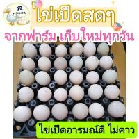 ราคา ไข่เป็ดอารมณ์ดี ไม่คาว ไข่เป็ดสาว 40 50กรัม 30ฟอง (23183853290)