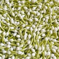 ราคา ถูกที่สุด ดอกพุดร้อยตาข่าย1000ดอก ดอกพุดจีบพลาสติก ดอกพุดดินปั้น พานขันกมากมาลัย กระทง งานฝีมือ (22848569350)