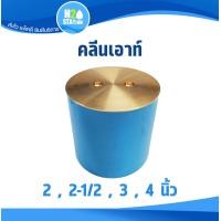 ราคา คลีนเอ้าท์ ฝาทองเหลือง 2 2 1 2 3 4 นิ้ว clean out (22999456552)
