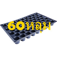 ราคา 5ถาด ถาดเพาะ 60หลุม 104หลุม 105หลุม ตราแรด หนาพิเศษ แกร่ง เหนียว ทนทาน ใช้งานได้นานกว่า หนากว่าถาดเพาะทั่วไปตามท้องตลาด ถาดเพาะกล้า จัดจำหน่ายโดย ทำมะชาดฟาร์ม (23276451013)