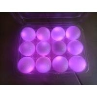 ราคา ลูกกอล์ฟแบบมีไฟLED golf balls for night golf 1ลูก (16386788432)