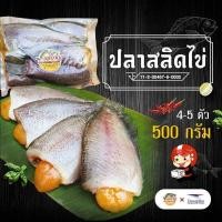 ราคา ปลาสลิดสด มีไข่ 4 5 ตัว 500 กรัม แม่กาญปลาสลิด (23253903086)