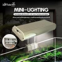 ราคา โคมไฟตู้ปลา ตู้กุ้ง Mini Lighting สำหรับตู้ 9 12 นิ้ว เพิ่มแสงสว่างให้กับตู้ปลา ตู้กุ้ง และไม้น้ำได้ดี (23013162056)