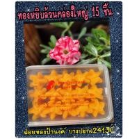 ราคา ทองหยิบ ขนมบ้านป้านงค์ ฝอยทองบางปะกง กล่องใหญ่ เล็ก (17398498069)