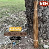 ราคา คันเบ็ดเปล่า 120 ซม ชุด 10 คัน เบ็ดปักคันเปล่า เบ็ดคันเปล่า ยาว 120 ซ ม คันเบ็ดไม้ไผ่ (11653588801)
