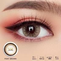 ราคา คอนแทคเลนส์ บิ๊กอาย Pony Chestnut Gray Wink ลายฮิต ขายดีมาก กรองแสงกันยูวี (21550326971)
