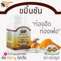 ราคา ขมิ้นชัน อภัยภูเบศร curcumin 60 แคปซูล แคปซูลละ 400 mg ส่งไว (16257843574)