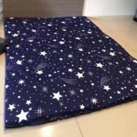 ราคา ปลอกที่นอนปิคนิก ขนาด3 5ฟุต 5ฟุต เกรดA สีไม่ตก (19952273667)