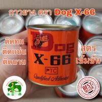 ราคา กาว Dog X 66 กาวติดยาง กาวยาง กาวยางหมา กาวยางตราหมา กาวอเนกประสงค์ DOG 66 กระปุกเล็ก ขนาด 200 กรัม (3634528398)