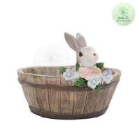 ราคา พร้อมส่งจากไทย กระถางเรซิน กระถางเล็ก Resin Pot กระถางไม้อวบน้ำ กระถางกระบองเพชร กระถางต้นไม้ ลายสัตว์ กระถางหมู 10x9cm (6699662458)