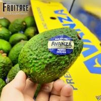 ราคา อะโวคาโด 1ลูก USA NZL Peru ลดพิเศษ Premium คุณค่า และ สารอาหาร เต็มประโยชน์ อโวคาโด Avocado อโวคาโด้สด อโวคาโดสด อะโวคาโดสด ผลไม้อะโวคาโด้ (4684758255)