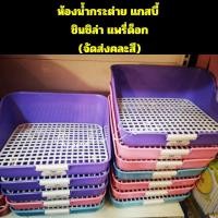 ราคา ห้องน้ำกระต่าย ห้องน้ำกระต่ายสี่เหลี่ยม ห้องน้ำแกสบี้ ห้องน้ำแพรี่ด็อก ห้องน้ำชินชิล่า สี่เหลี่ยม (4329468360)