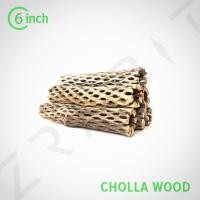 ราคา Cholla Wood 6 inch สั่งซื้อ 3 ชิ้น แถม 1 ชิ้น ขอนไม้ บ้านกุ้ง กุ้งแคระ กุ้งเรดบี (3436814546)