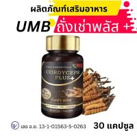ราคา ส่งด่วน ของแท้ ราคาถูก อาหารเสริม UMB cordyceps plus ถั่งเช่า พลัส 1 กระุปุก 30 แคปซูล (18360313995)